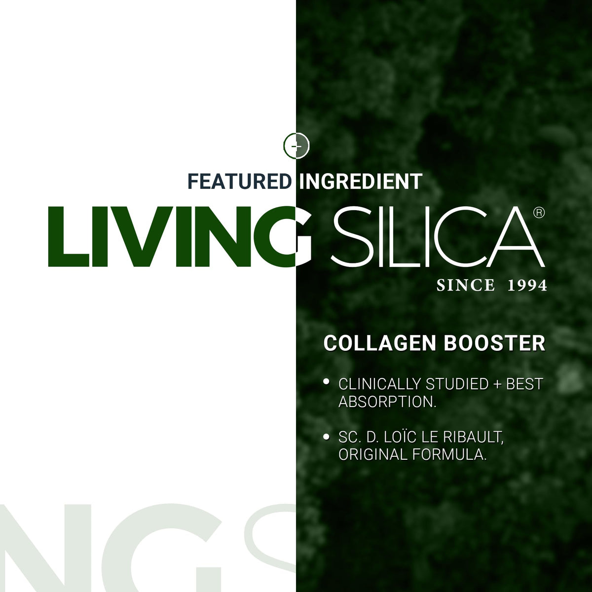 Orgono Living Silica Plant-Based Collagen Booster