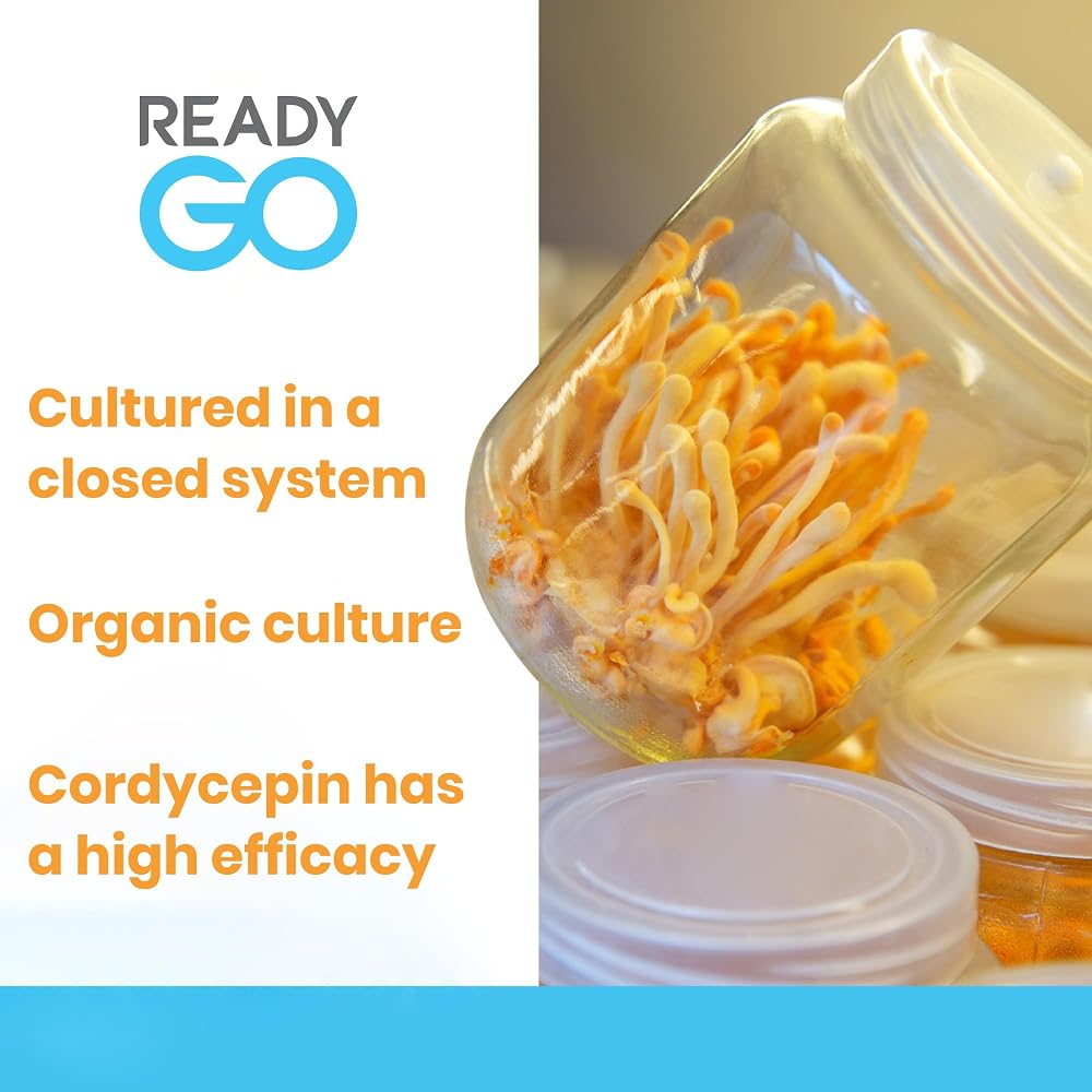 READYGO Cordyceps Militaris Mushroom Capsules with Ginseng - 30 Capsules - image 4