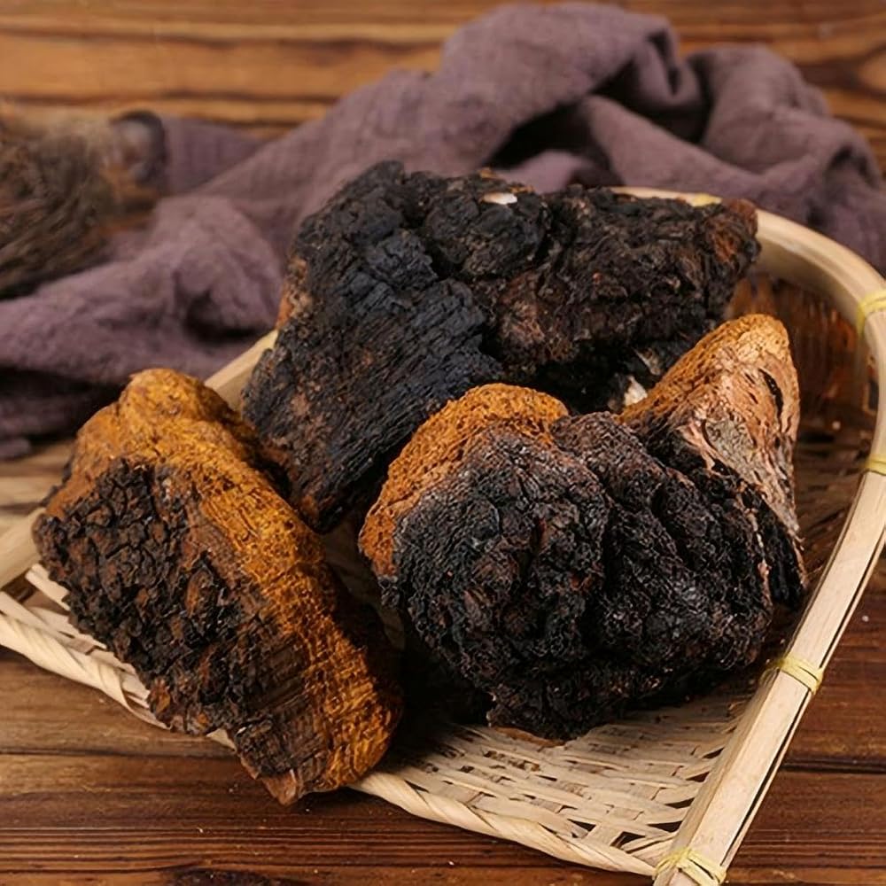 Sweet Post Pure Chaga Mushroom Chunks - 8 oz - image 3