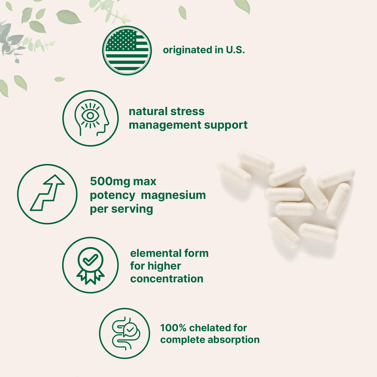 Micro Ingredients Magnesium Glycinate 500mg - 240 Capsules - image 4