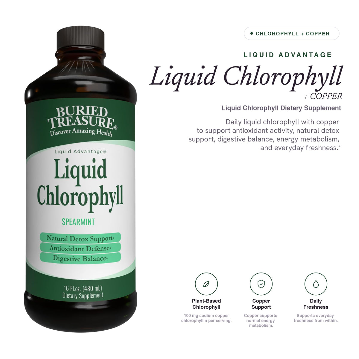 Buried Treasure Liquid Chlorophyll 100 mg Energy Support - 16 oz - image 5