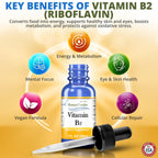 HoneyCombs Vitamin B2 Liquid Drops Riboflavin - 1 Fl Oz - image 9