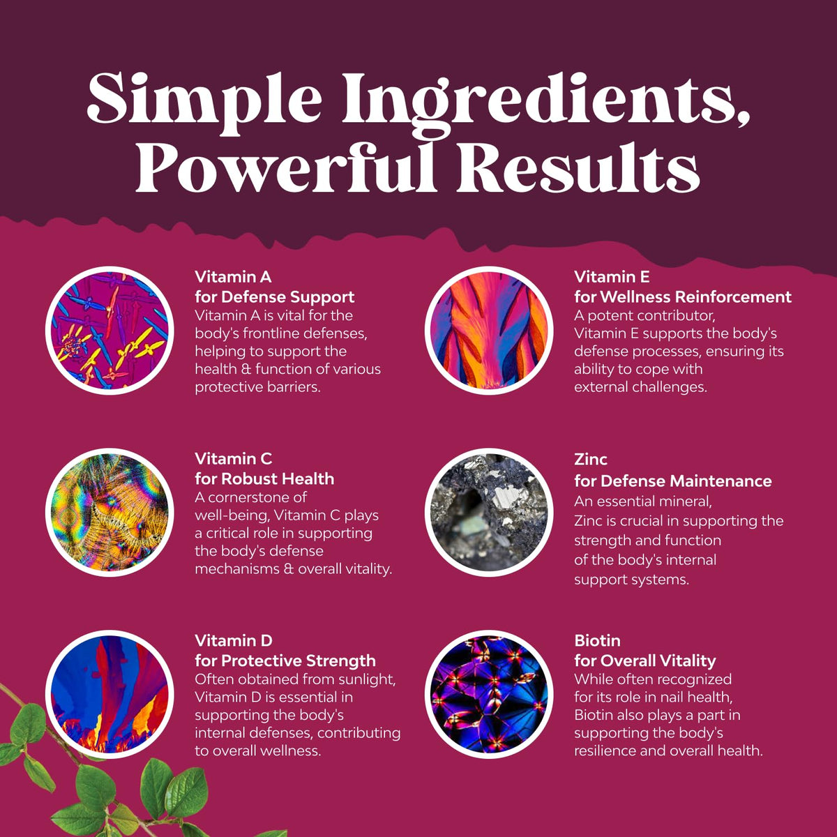 Natures Craft Delicious Daily Multivitamin for Women Gummies