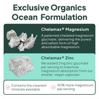 Organics Ocean Pure Magnesium Glycinate with Zinc - Maximum Strength