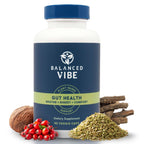 Balanced Vibe 7-in-1 Gut Health Supplement - 90 Capsules