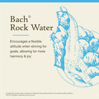 Bach Flower Remedies Rock Water for Flexible Mind - 20mL - image 3