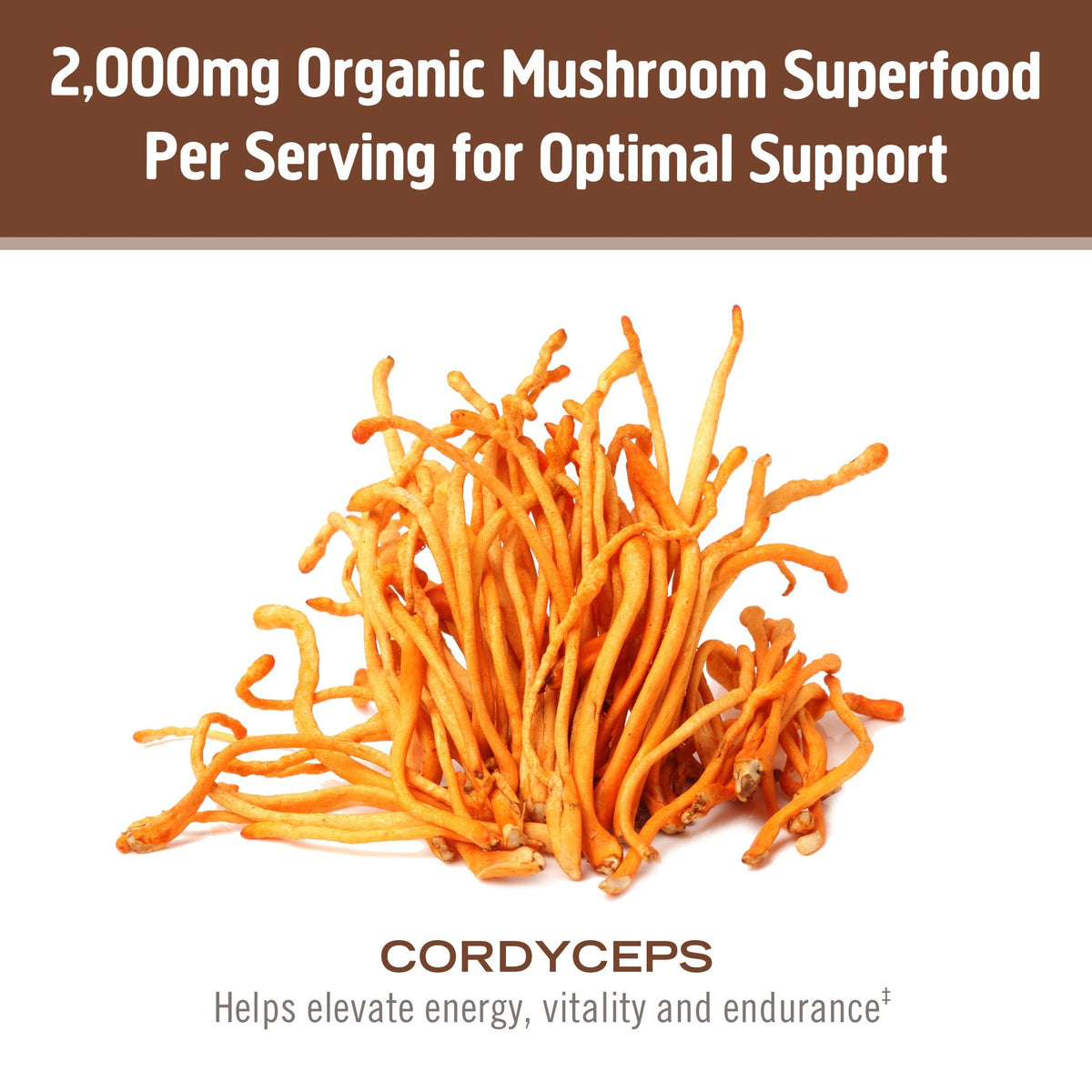 OM Mushroom Cordyceps Powder Energy & Endurance - 100 Servings - image 4