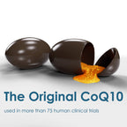 Pharma Nord Bio-Quinone Gold CoQ10 100 mg