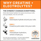 MYOXCIENCE Electrolyte STIX