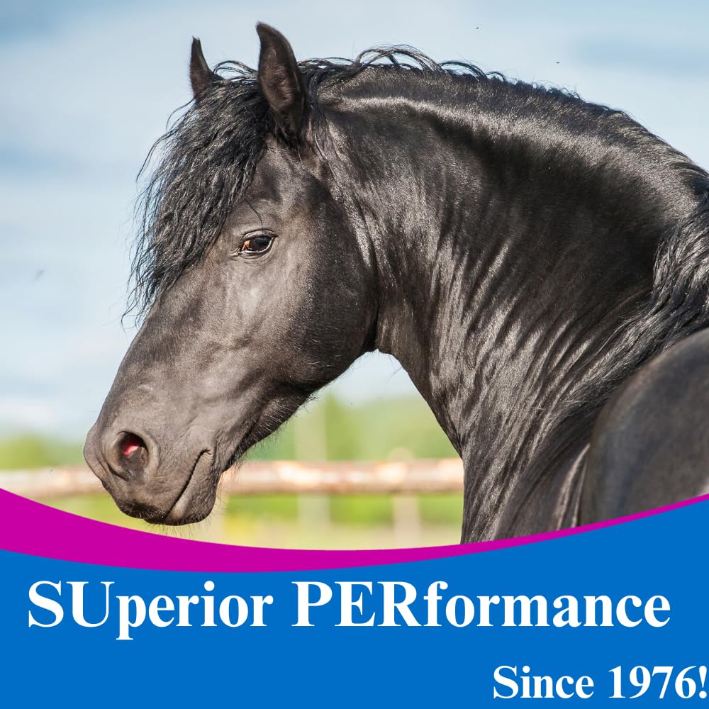 SU-PER Lysine Supplement for Horses - 2.5 Pound Powder - image 5