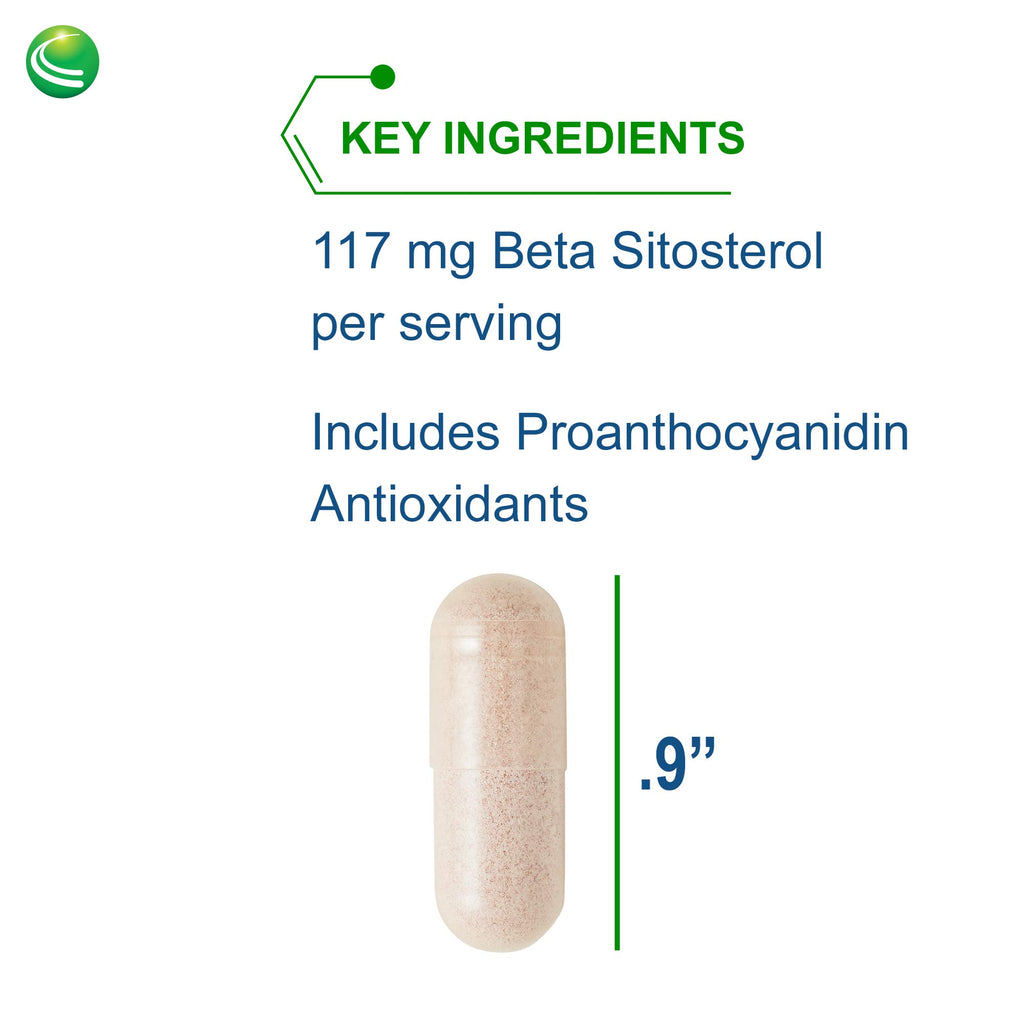 Nutra BioGenesis Sterol 117 Plant Sterol Support - 60 Vegetarian Capsules - image 3