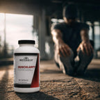 Beverly International Muscularity BCAA Formula - 180 Capsules - image 7