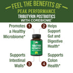 Peak Performance CoreBiome Tributyrin Postbiotic Capsules - 30 Count - image 4