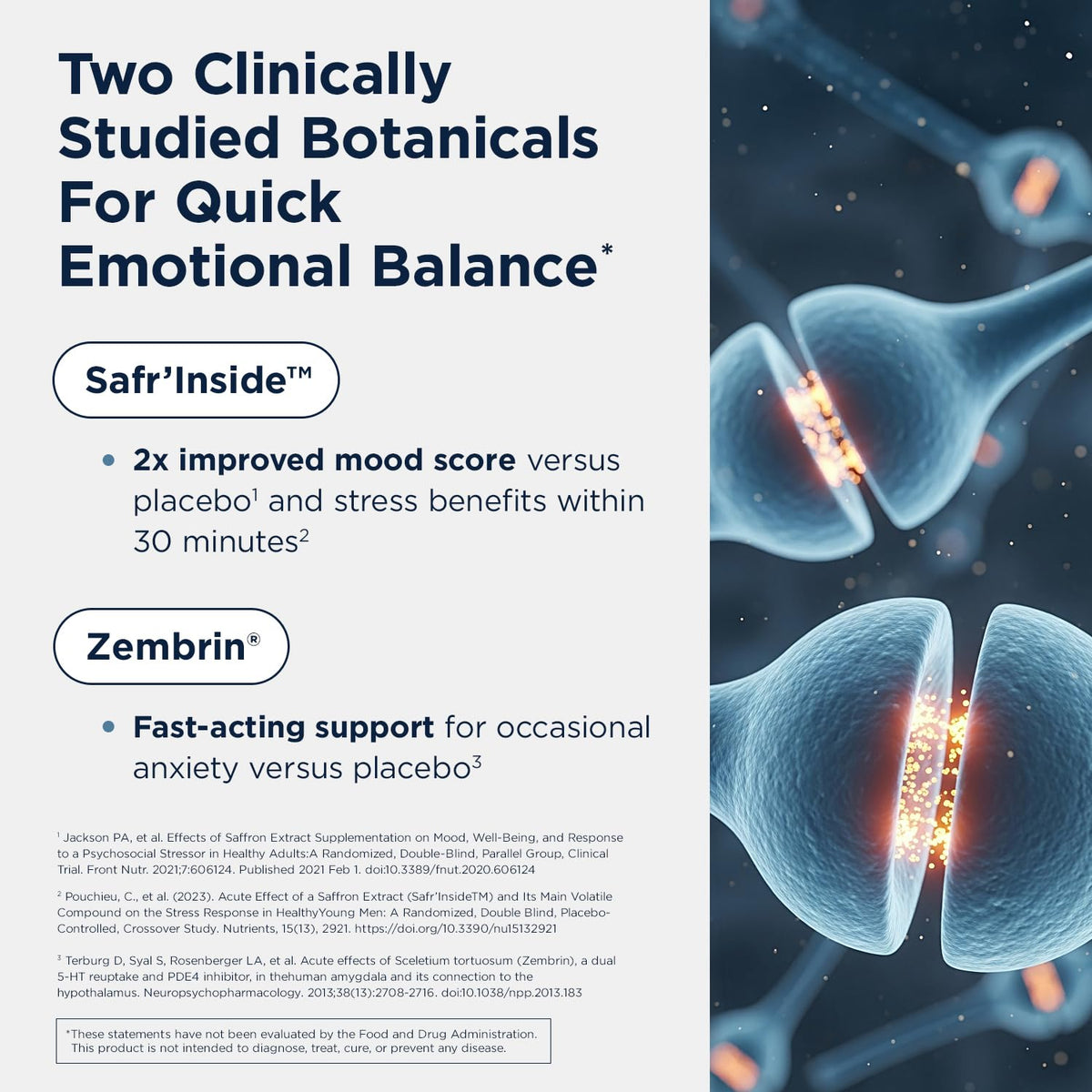 Designs for Health Mood-Stasis Stress & Calm Support - 30 Capsules - image 3