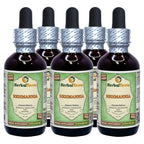 Herbal Terra LLC Rehmannia (Rehmania Glutinosa) Tincture