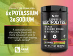 Zeal Naturals Electrolyte Powder - 90 Servings
