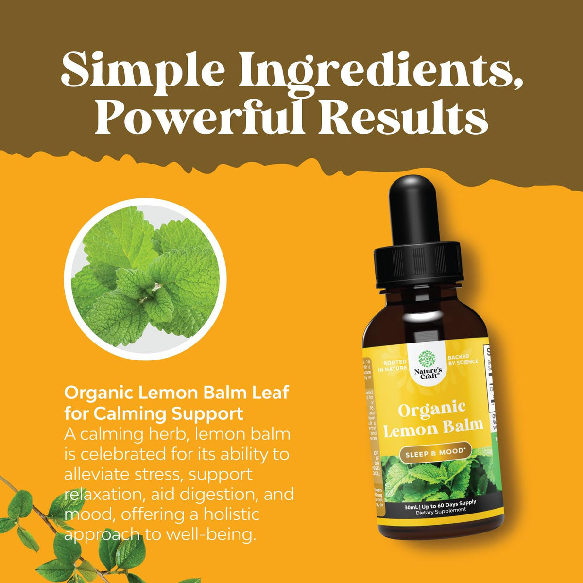 Natures Craft Organic Lemon Balm Leaf Liquid Extract for Immune