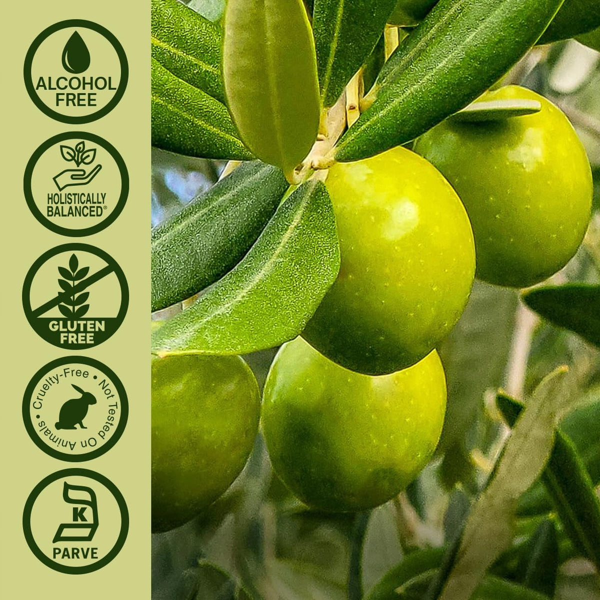 Nature's Answer Oleopein Olive Leaf Extract - 2 Fl Oz - image 5