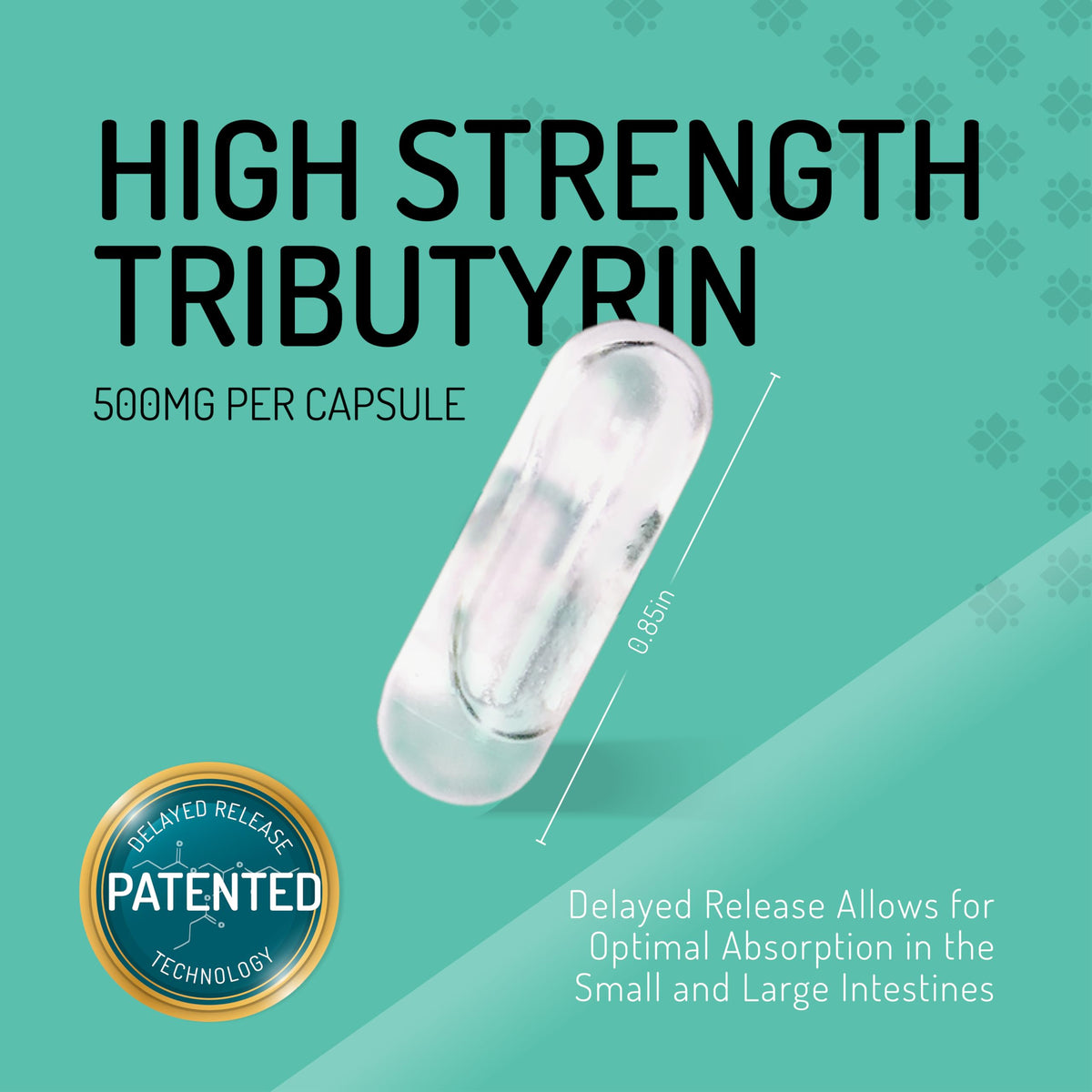 Healus Complete Biotic Tributyrin Postbiotic Supplement - 60 Capsules - image 3