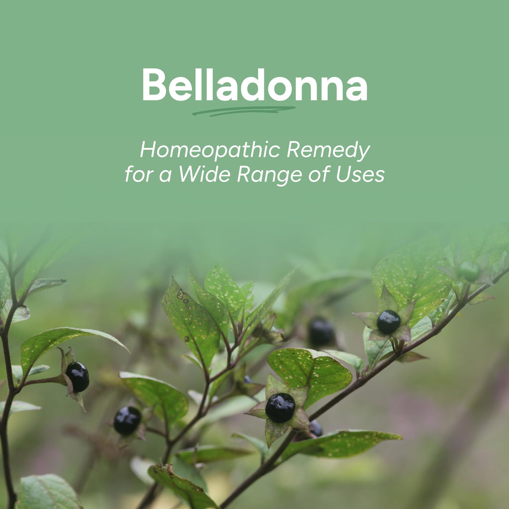 OLLOÏS Belladonna 200ck Homeopathic Medicine - 80 Pellets - image 2