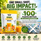 DAUSON Ginger Turmeric Shots Powder - 100 Servings - image 5