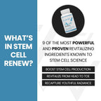 Vitality Now Stem Cell Renew Supplement - 60 Capsules - image 4