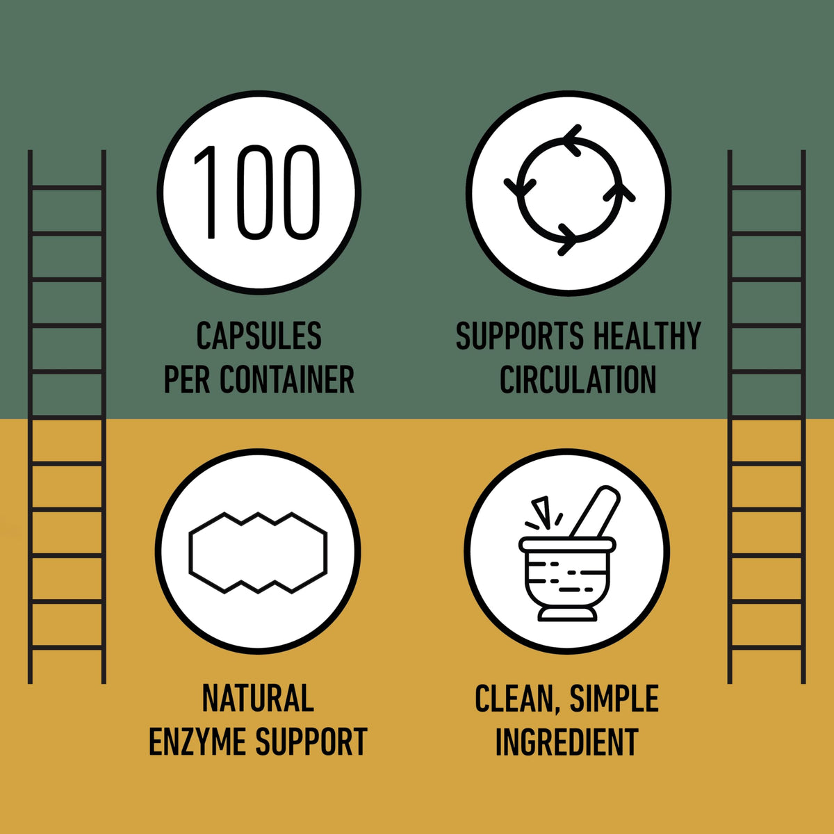 Complete Natural Products Nattokinase 570mg Circulation Support - 100 Capsules - image 11