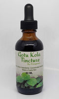 Prorganics Organic Gotu Kola Tincture - 2 Ounce