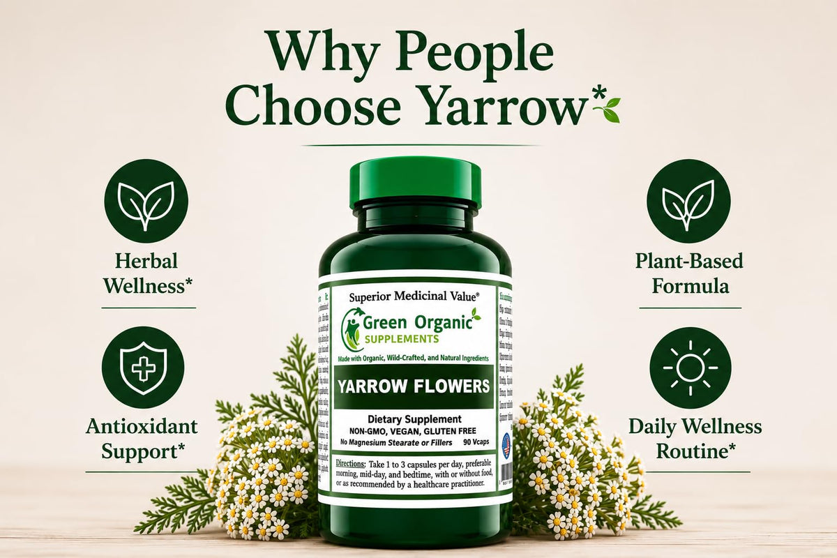 Green Organic Supplements Yarrow Flower - 90 Vegetarian Capsules - image 3
