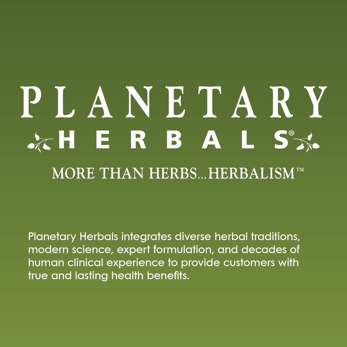Planetary Herbals Echinacea-Goldenseal Liquid Extract - 1 Fl Oz - image 5
