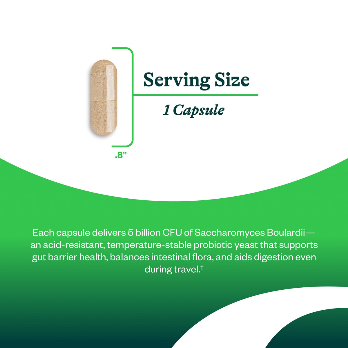 Seeking Health Saccharomyces Boulardii Digestive Support - 60 Capsules - image 3