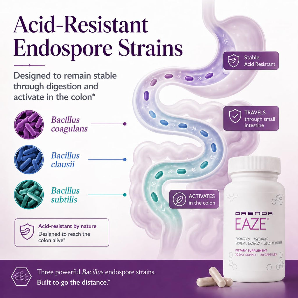 Orenda Eaze 6-in-1 Gut Health Pre Pro Postbiotic - 30 Capsules - image 3