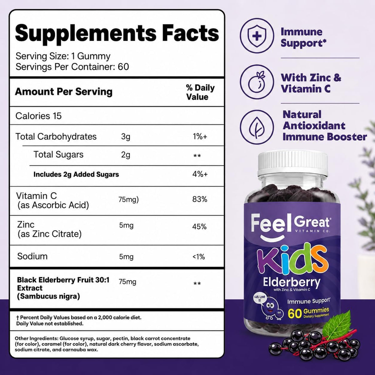 The Feel Great Vitamin Company Feel Great Vitamin Co. Elderberry