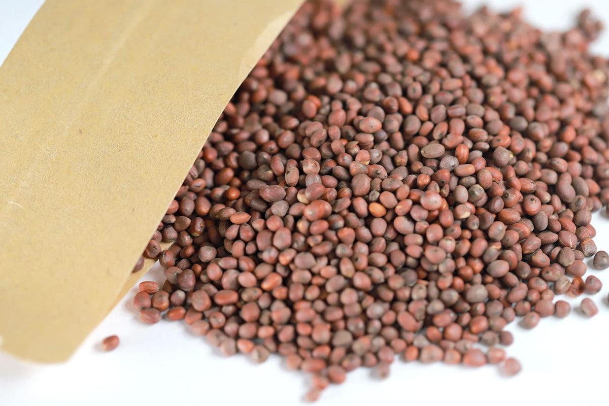 USTCM Raphani Semen Lai Fu Zi Dried Herbs - 6 oz - image 2