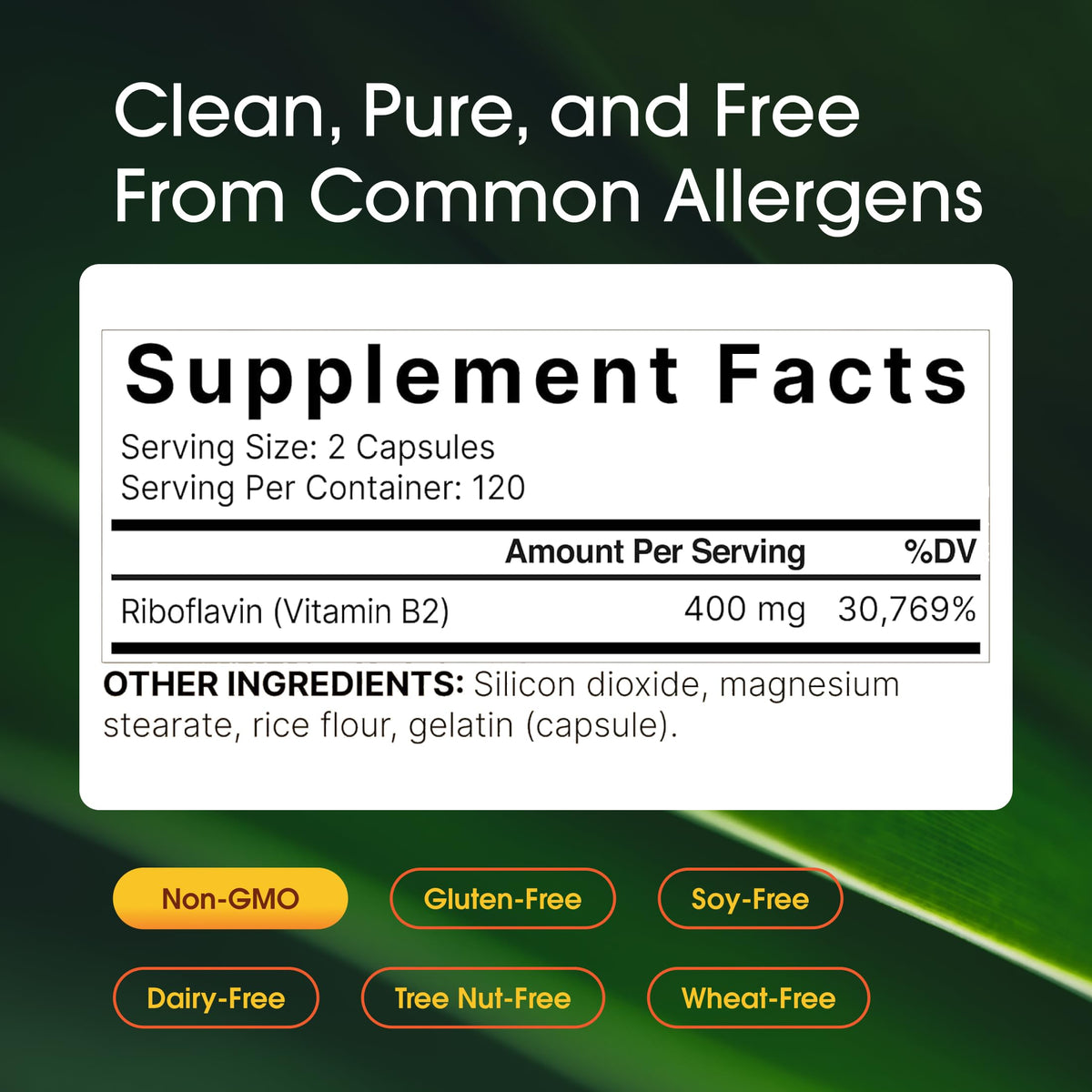 NatureBell Vitamin B2 Riboflavin 400mg - 240 Capsules - image 3