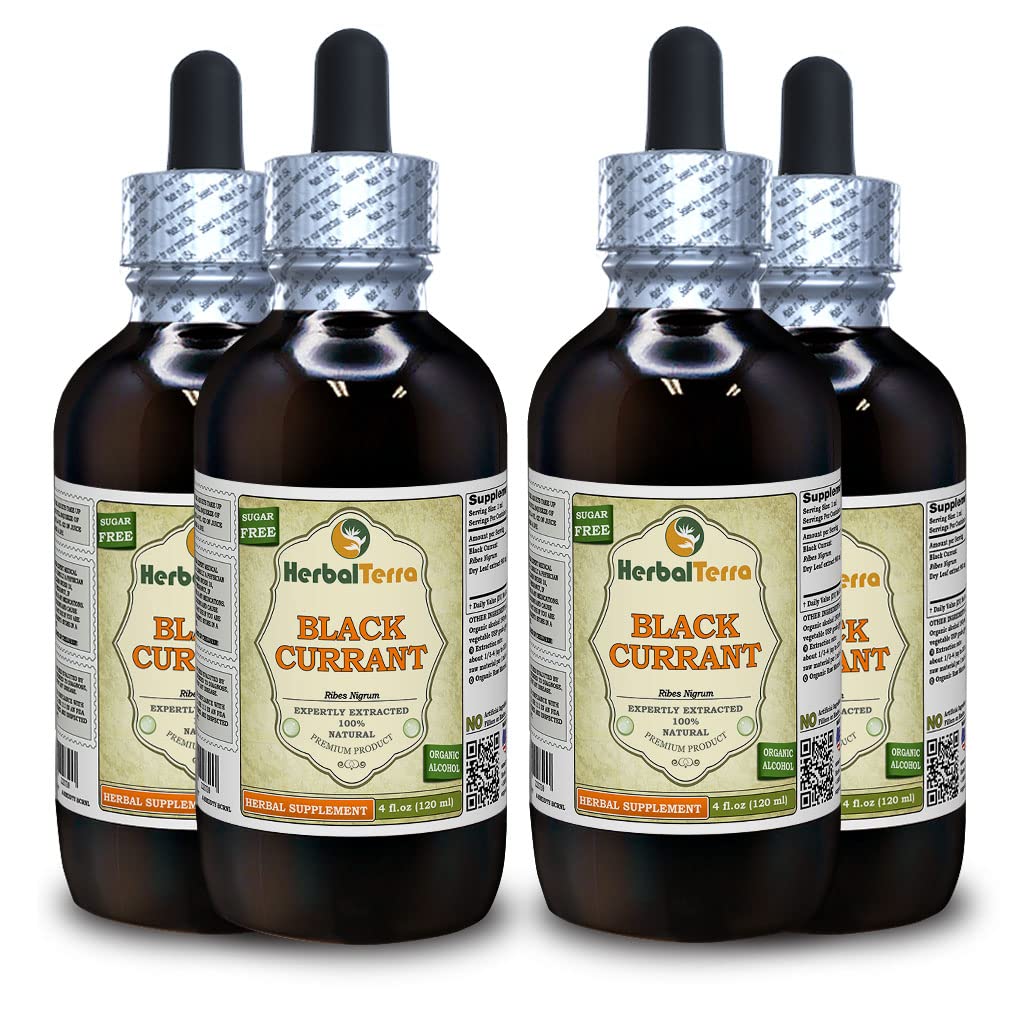 Herbal Terra LLC Black Currant (Ribes nigrum) Tincture