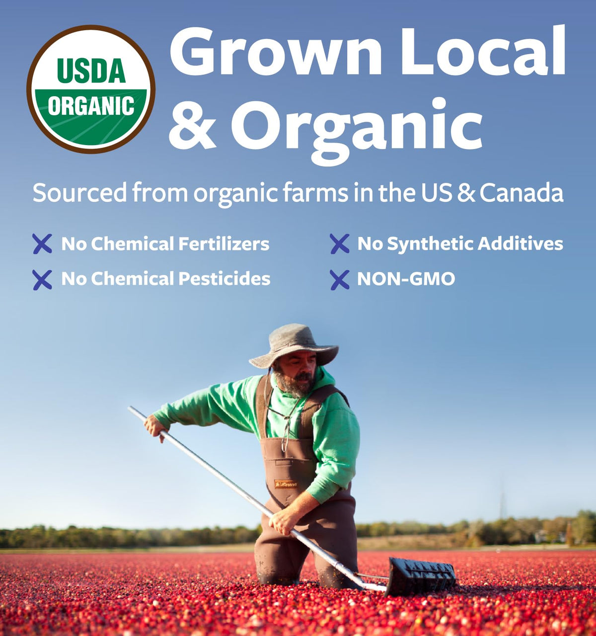 PURE CO Organic Cranberry Powder 50:1 Concentrate - 100 Servings - image 5
