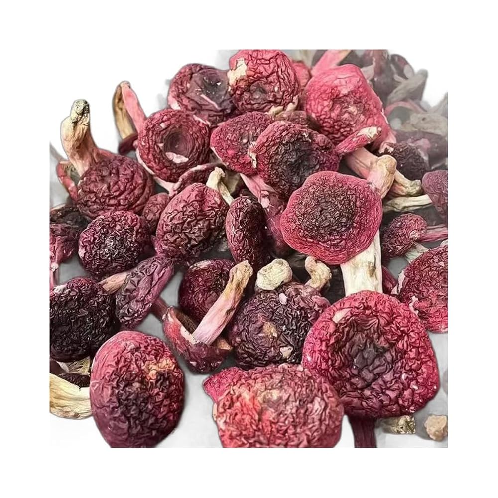 CHLYAET Dried Russula Red Mushroom Honggu - 100g