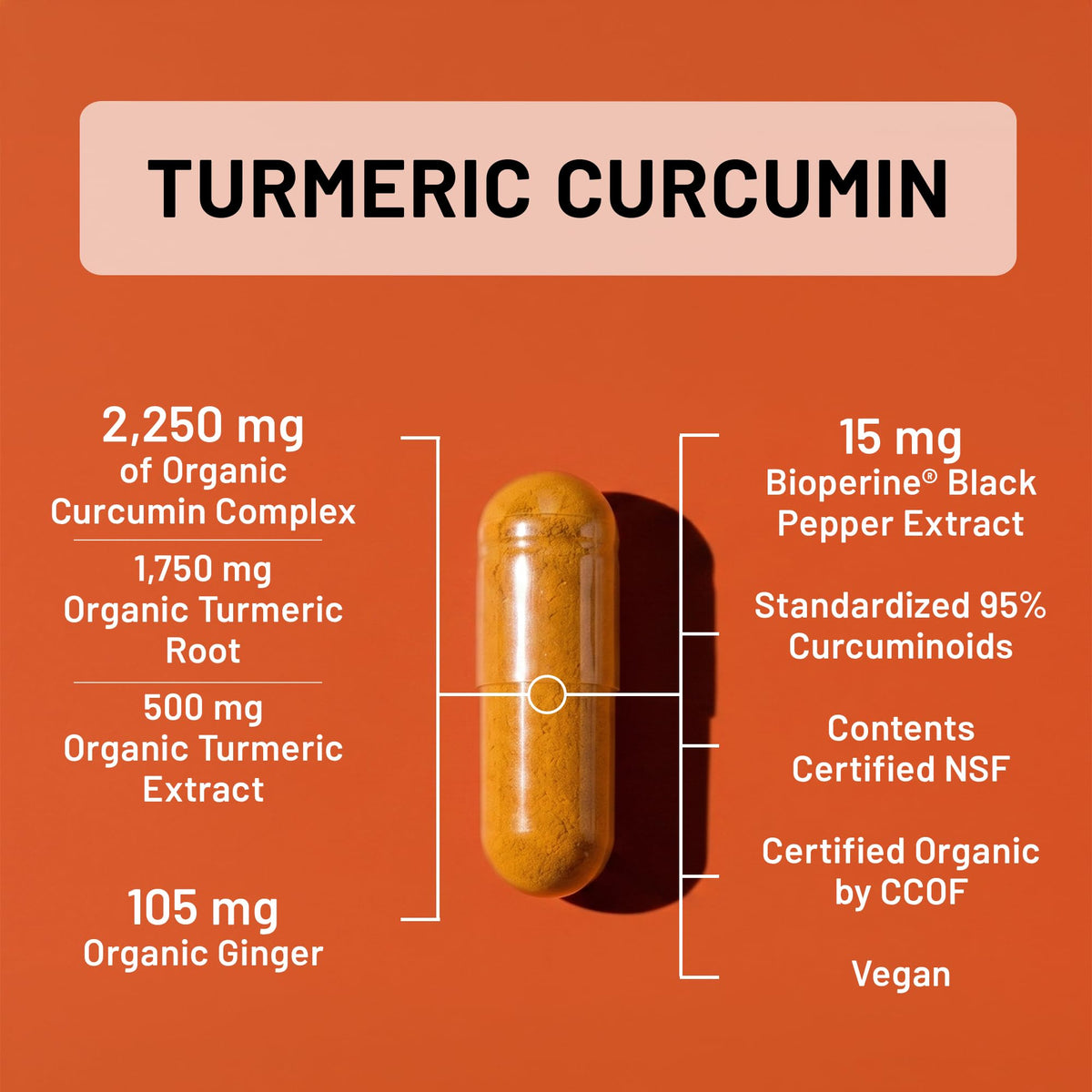 NatureWise Curcumin Turmeric 2250mg Advanced Absorption 95%
