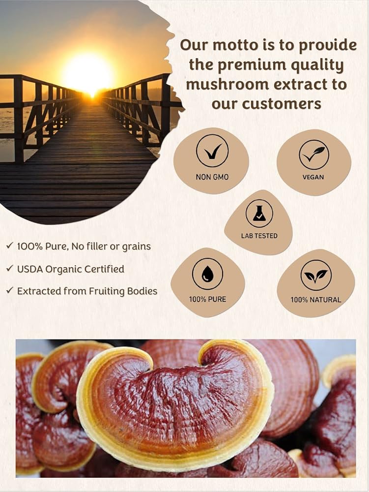 Mushroom Orbit Reishi Organic Mushroom Extract Powder - 120g - image 3