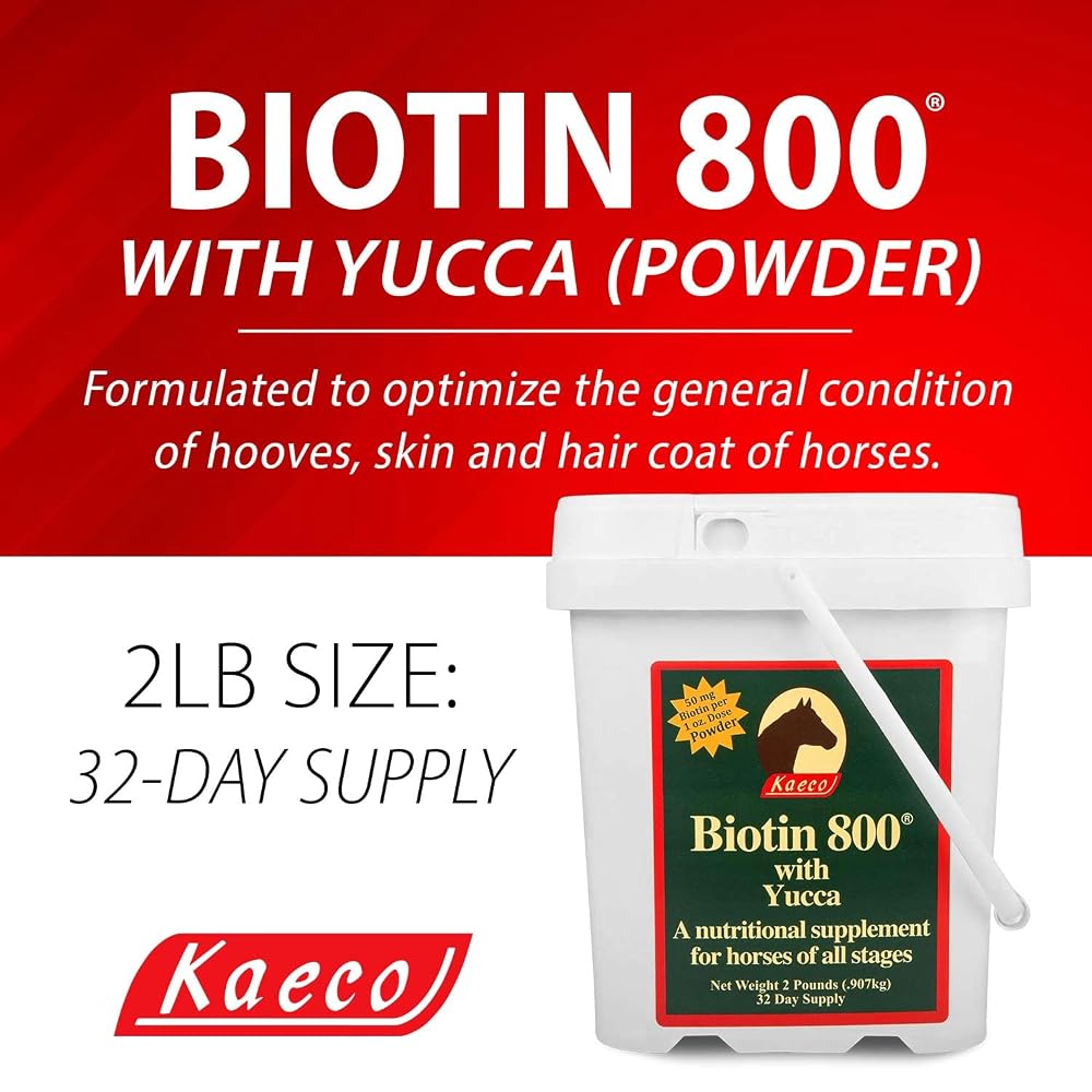 Kaeco Biotin 800 Powder - 2 lbs - image 2