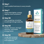 BREATHIUM Mullein Drops for Lungs
