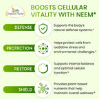 Organic Veda Neem Capsules Triple Complex for Skin & Immune Support - image 7