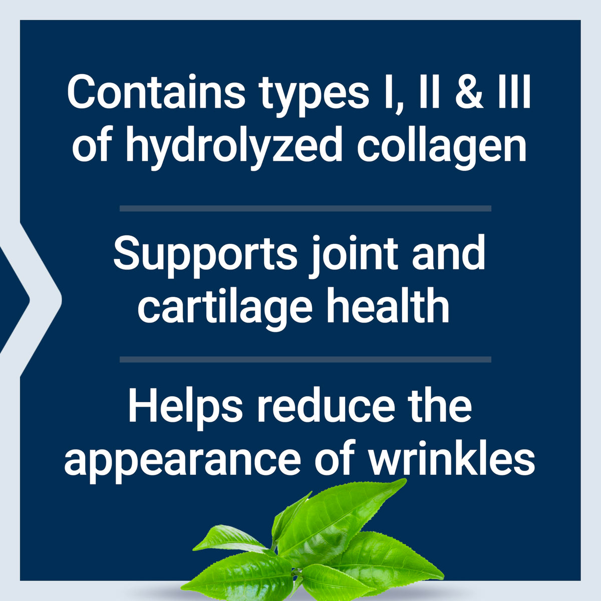 Life Extension Collagen Peptides for Skin and Joints - 343g - image 4