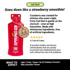SPRING Energy Real Food Energy Gel - Wholesome