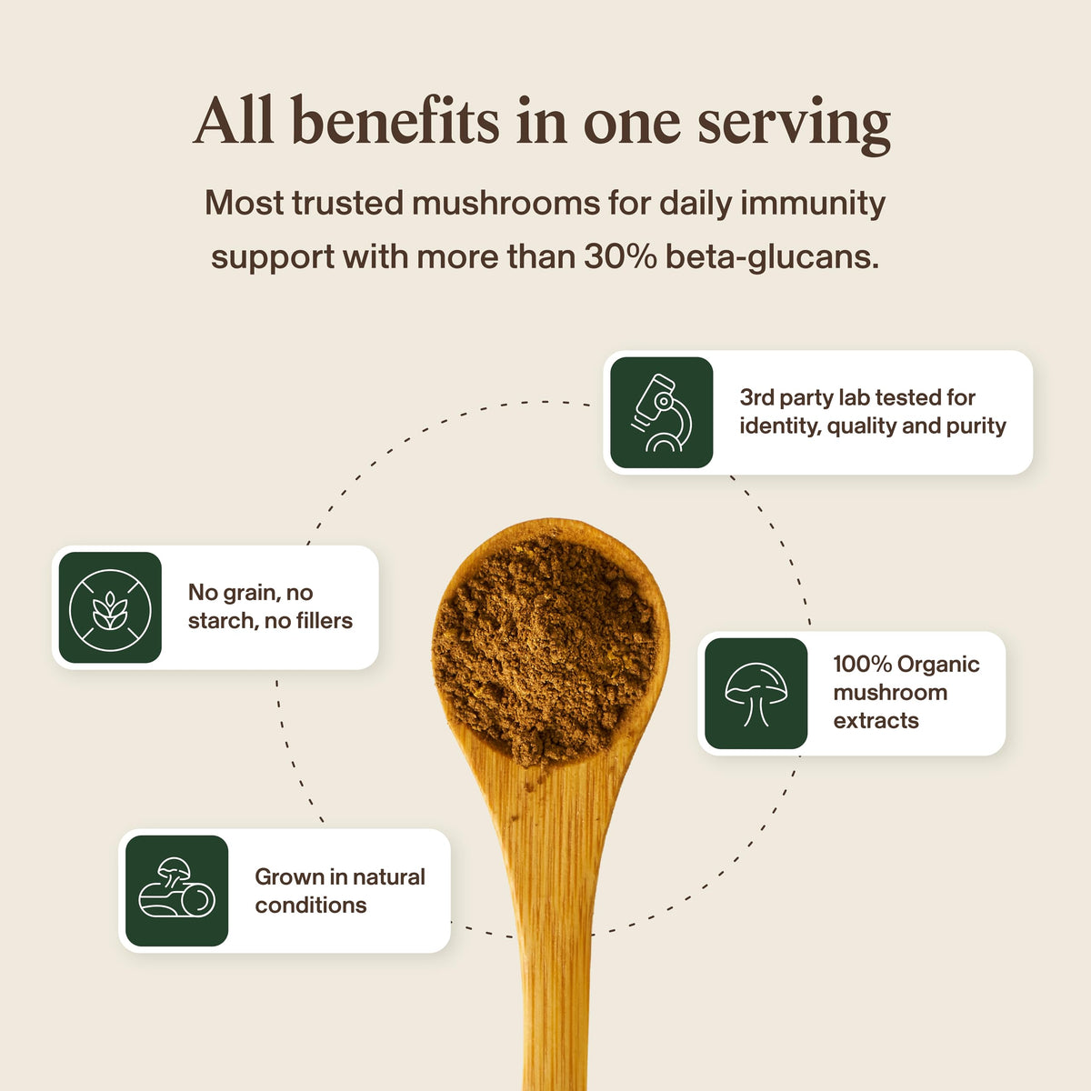 Real Mushrooms Organic Turkey Tail Powder for Immune Support - 100 Servings - image 7