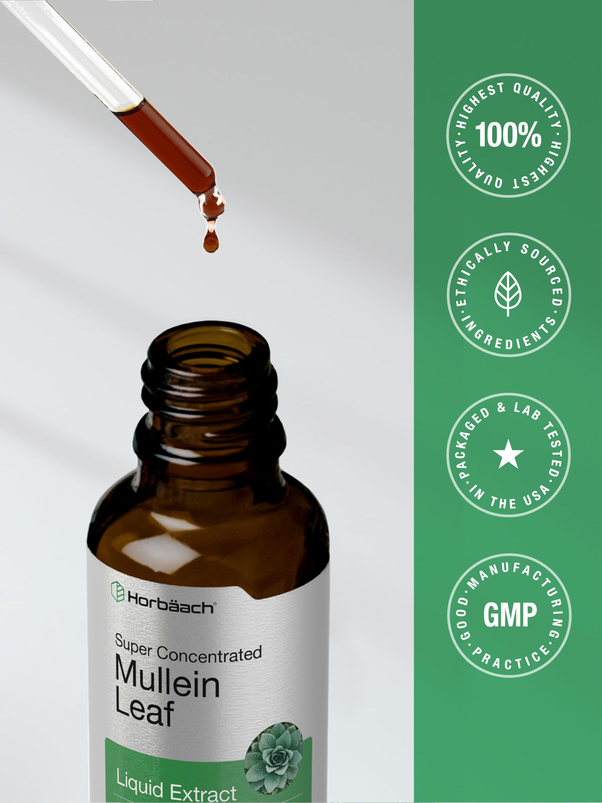 Horbäach Mullein Leaf Extract Drops - 2 fl oz - image 7