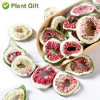 Plant Gift Dried Figs Natural Snack - 45g - image 5