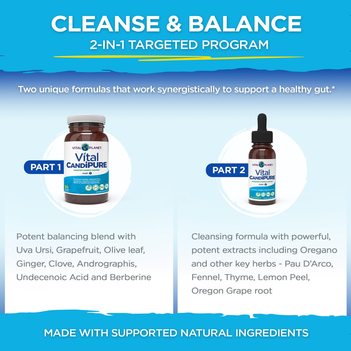 Vital Planet Vital CandiPURE Intestinal Cleanse - 14 Day Kit - image 3