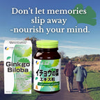 FINE JAPAN Ginkgo Biloba Leaf Extract Tablets - 400 Count - image 3